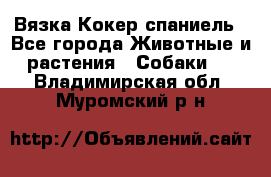 Вязка Кокер спаниель - Все города Животные и растения » Собаки   . Владимирская обл.,Муромский р-н